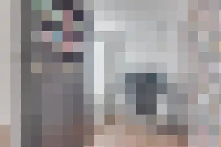 Reekerkooglaan 3 Heerhugowaard thumbnail 41