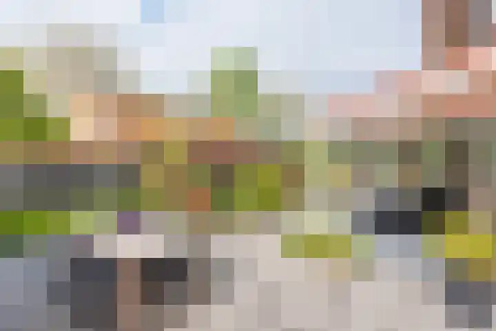Reekerkooglaan 3 Heerhugowaard thumbnail 44