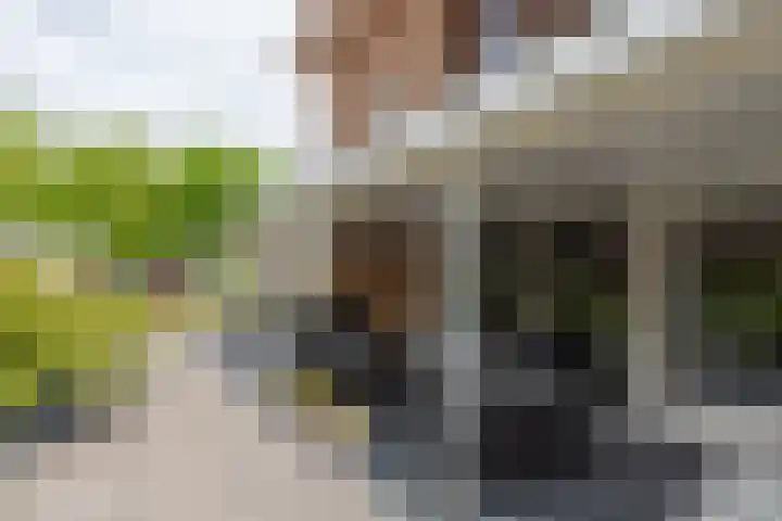 Reekerkooglaan 3 Heerhugowaard thumbnail 46