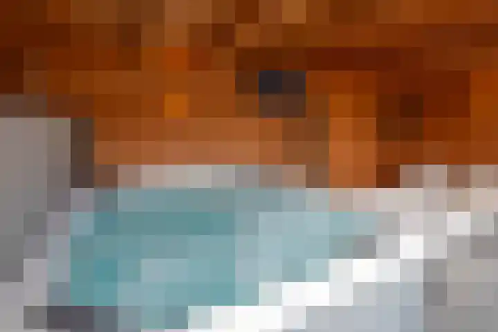 Reekerkooglaan 3 Heerhugowaard thumbnail 52