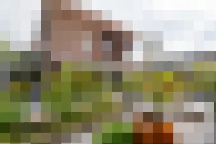 Reekerkooglaan 3 Heerhugowaard thumbnail 57