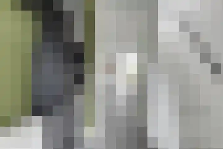 Reekerkooglaan 3 Heerhugowaard thumbnail 8