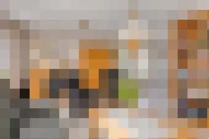 Reekersgaarden 42 Losser thumbnail 13