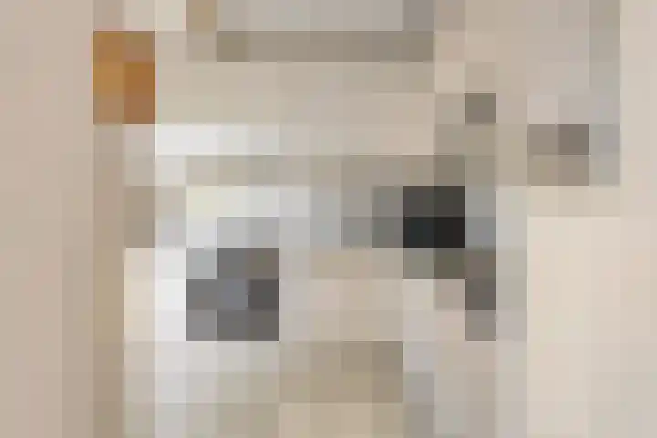Reekersgaarden 42 Losser thumbnail 16