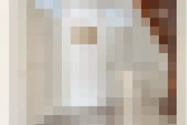 Reekersgaarden 42 Losser thumbnail 22