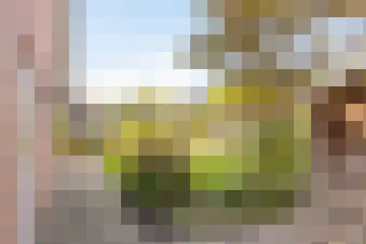 Reekersgaarden 42 Losser thumbnail 39