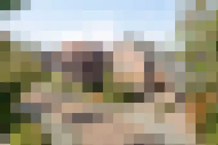 Reekersgaarden 42 Losser thumbnail 4