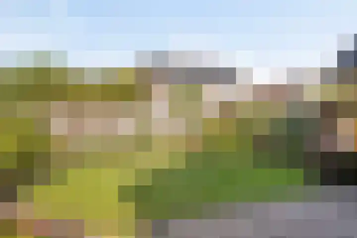 Reekersgaarden 42 Losser thumbnail 41