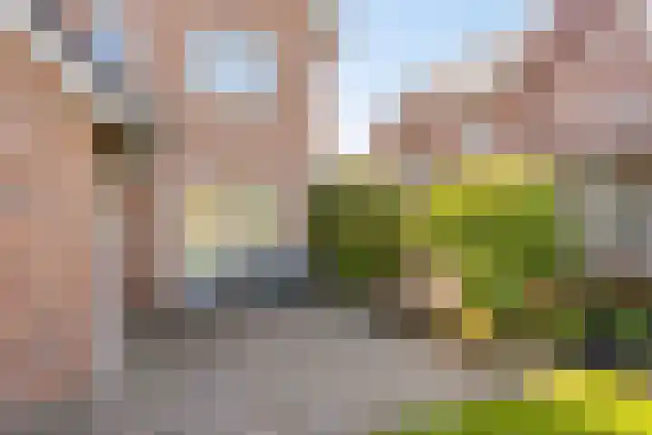 Reekersgaarden 42 Losser thumbnail 42