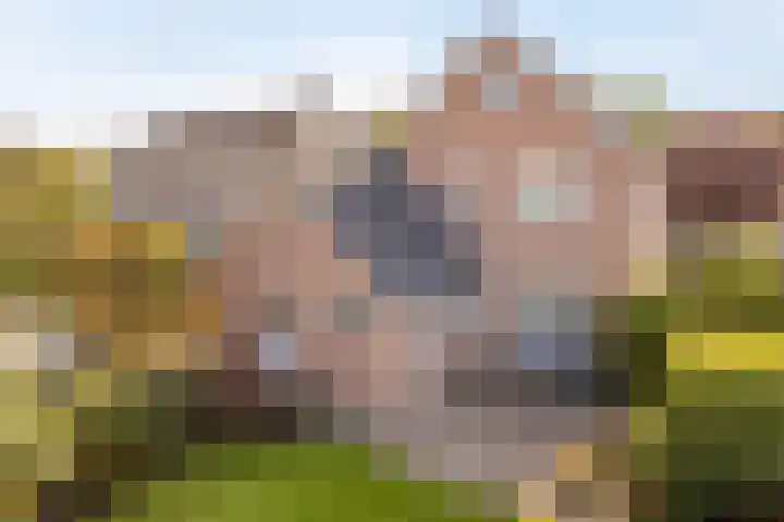 Reekersgaarden 42 Losser thumbnail 44