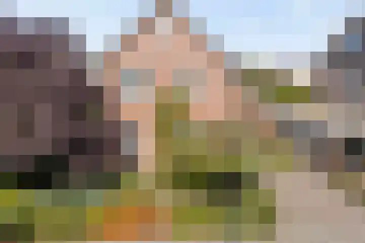 Reekersgaarden 42 Losser thumbnail 45