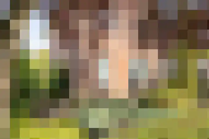 Reekersgaarden 42 Losser thumbnail 5