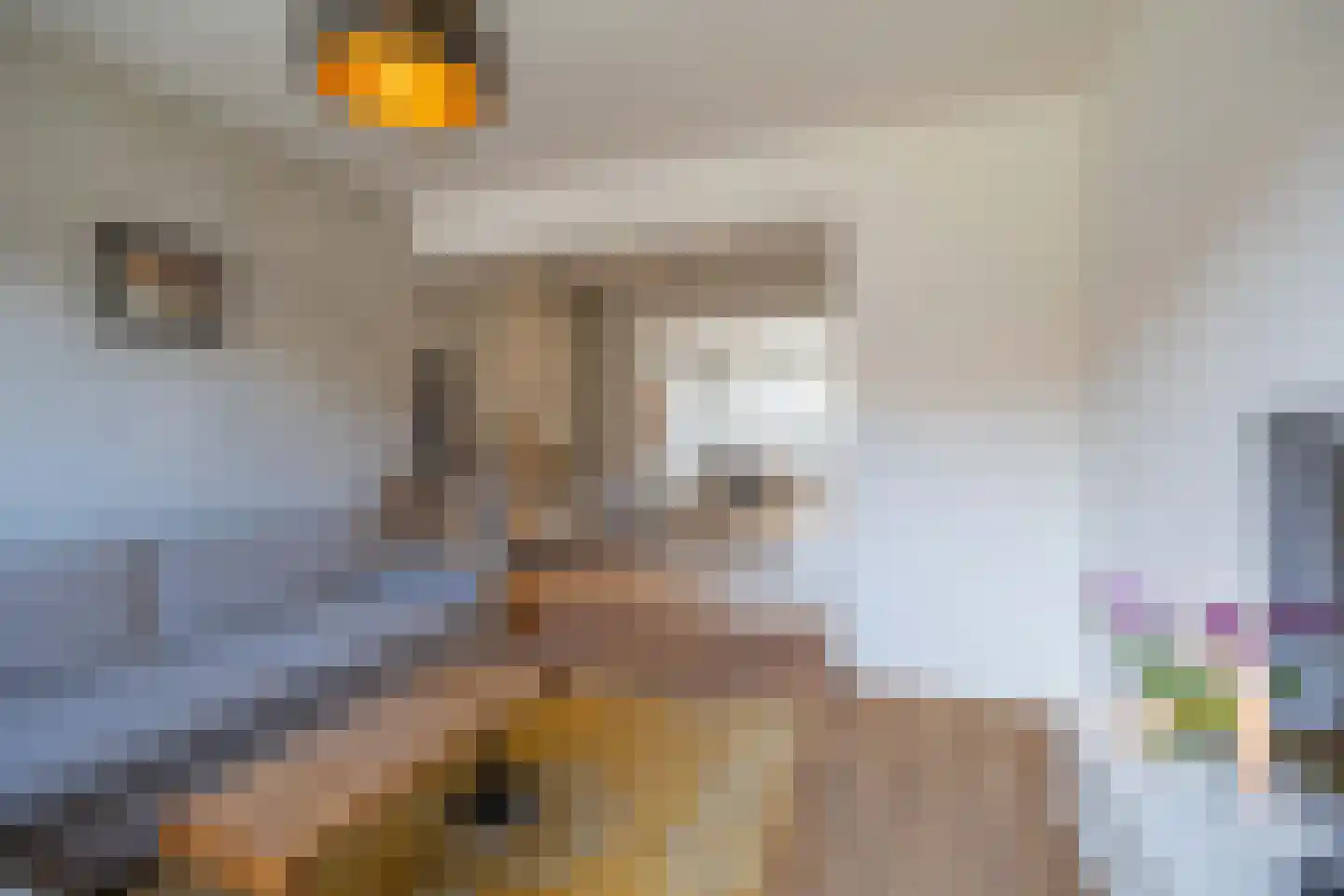 Reekgraafstraat 5 Venray thumbnail 11