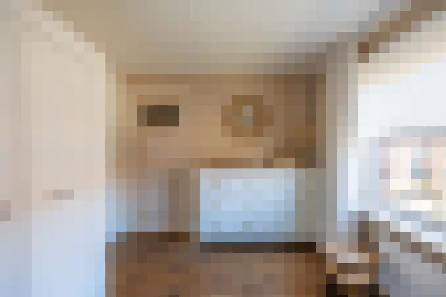 Reekgraafstraat 5 Venray thumbnail 25