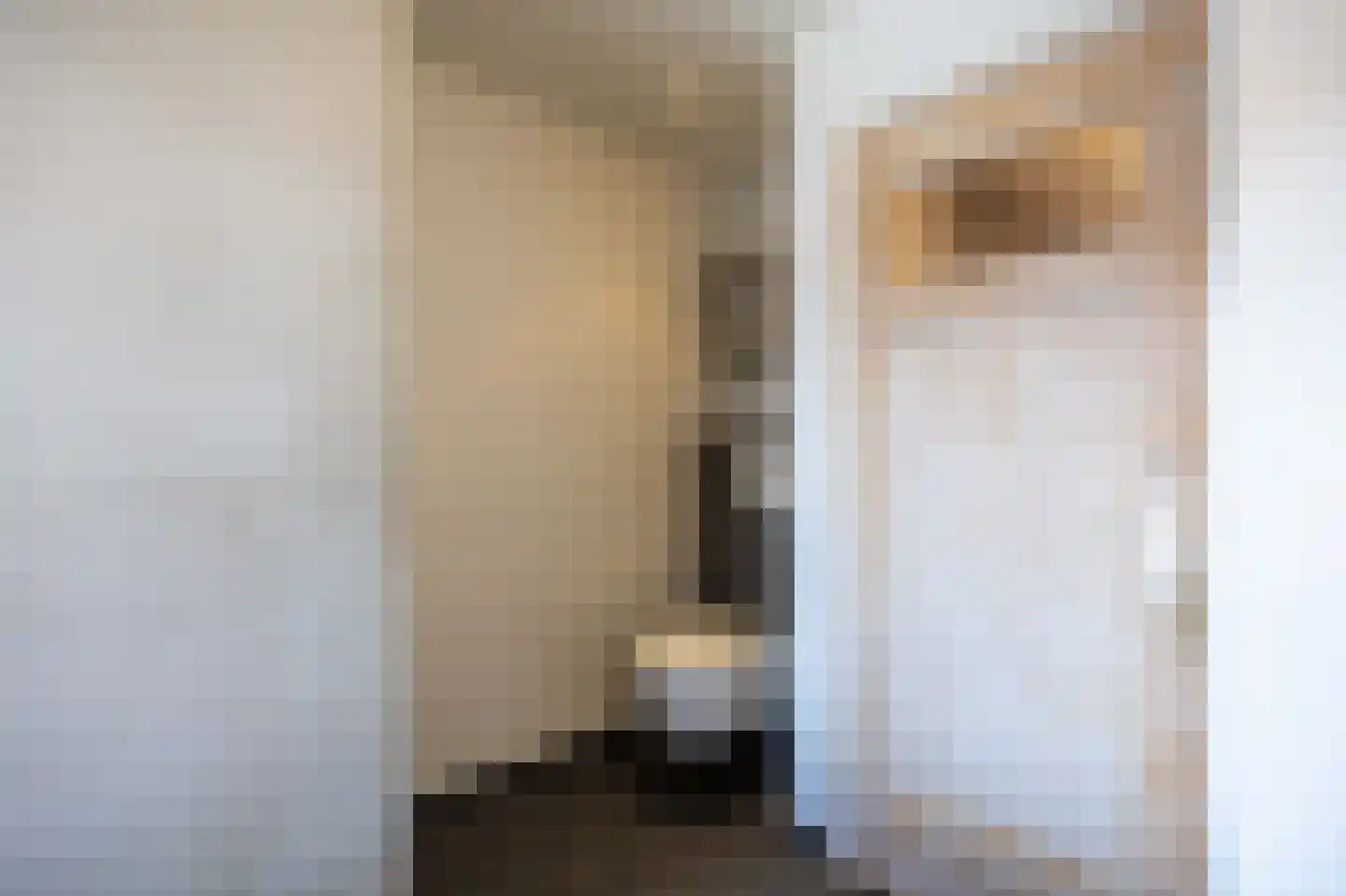 Reekgraafstraat 5 Venray thumbnail 29