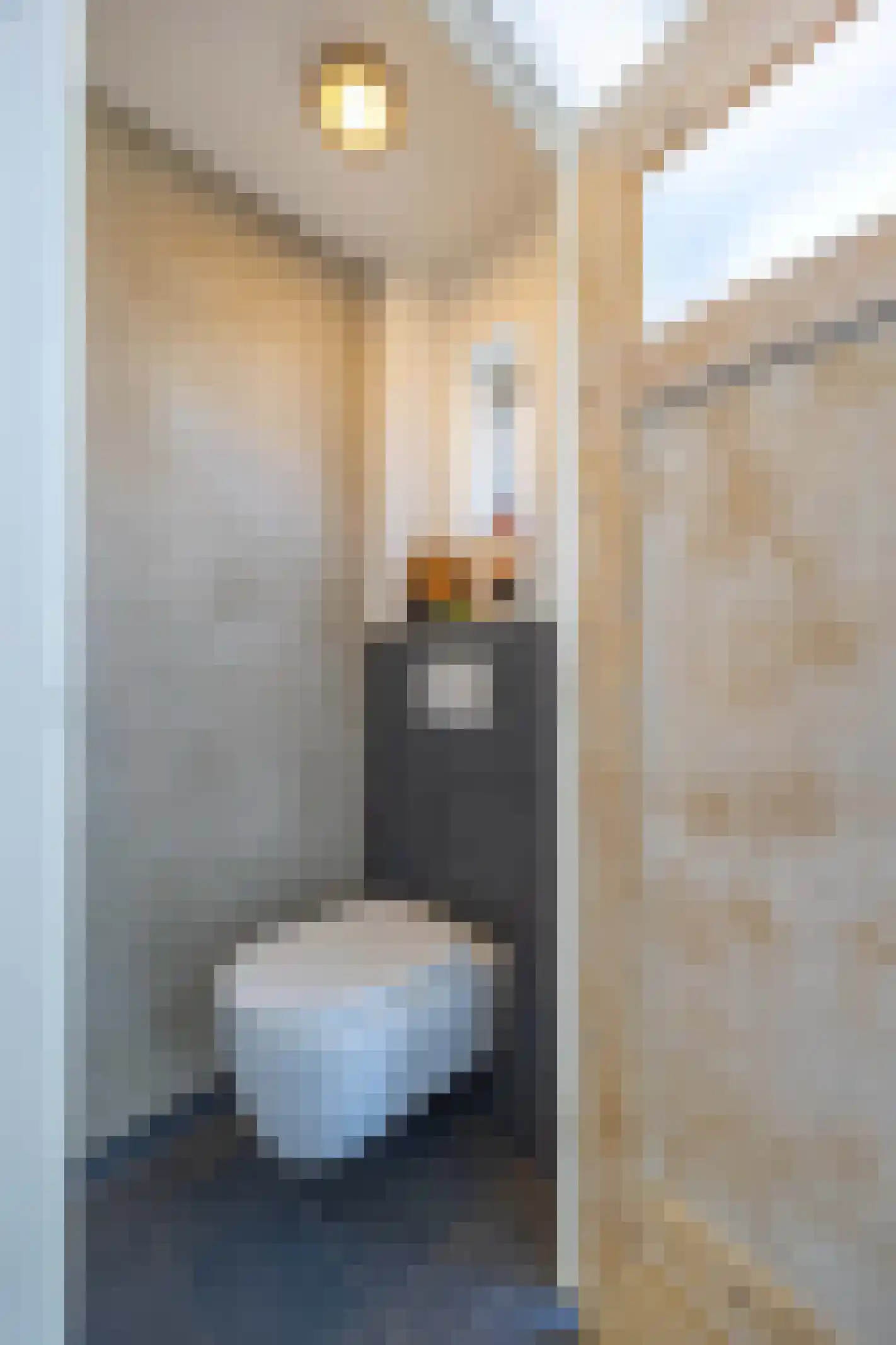 Reekgraafstraat 5 Venray thumbnail 8