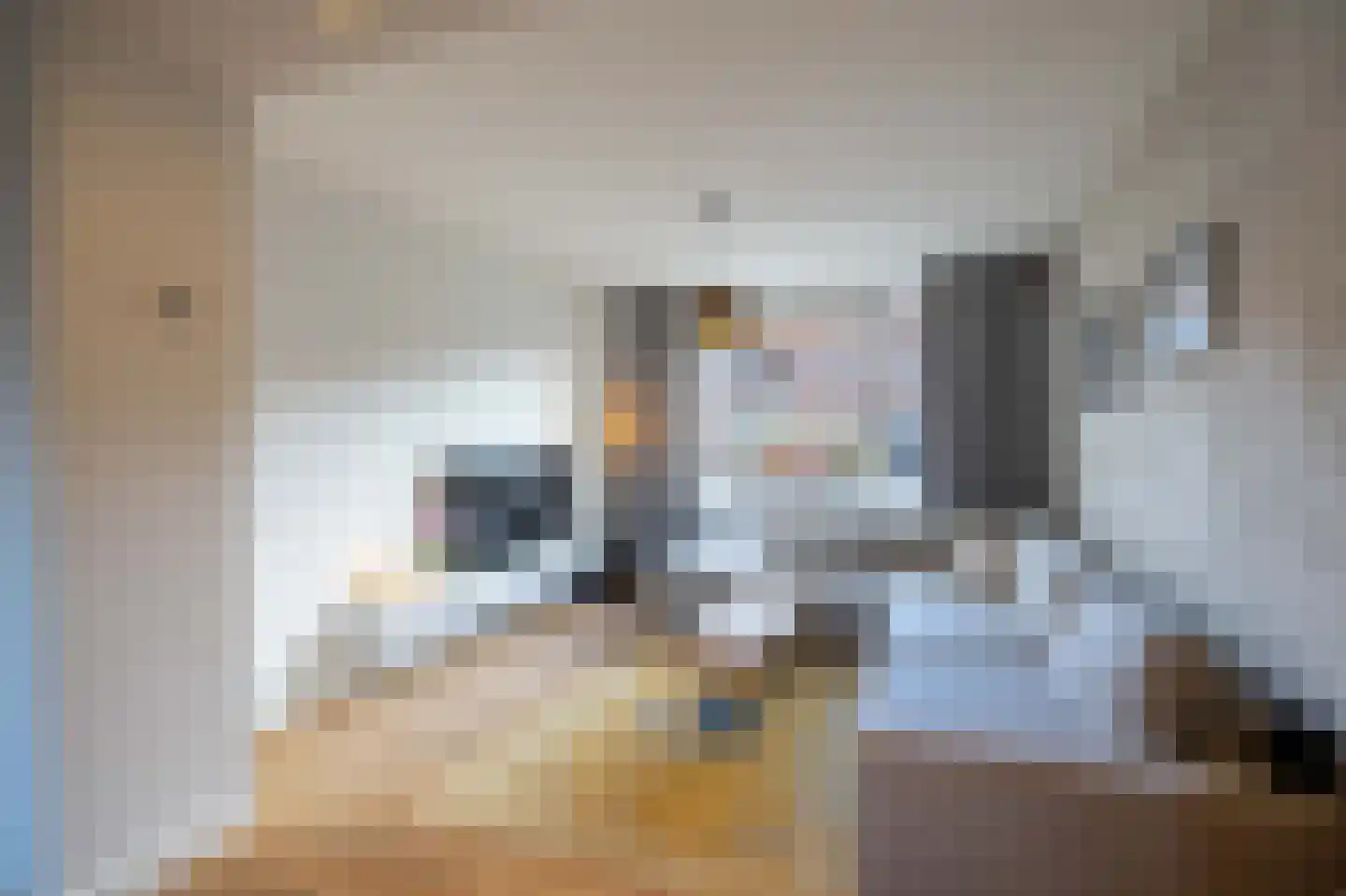 Reekgraafstraat 5 Venray thumbnail 9