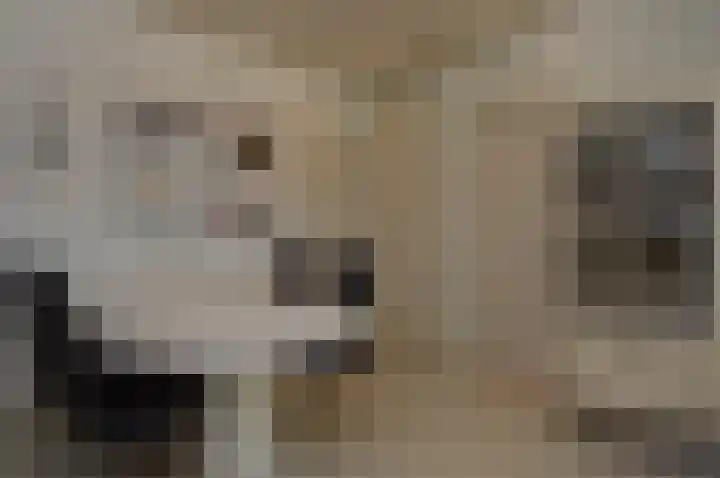 Reeksenakker 4 Deurne thumbnail 10
