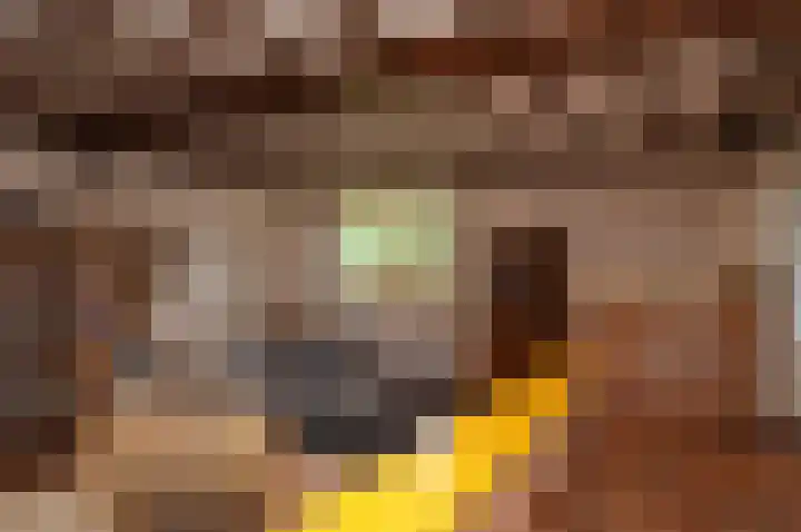 Reeksenakker 4 Deurne thumbnail 17