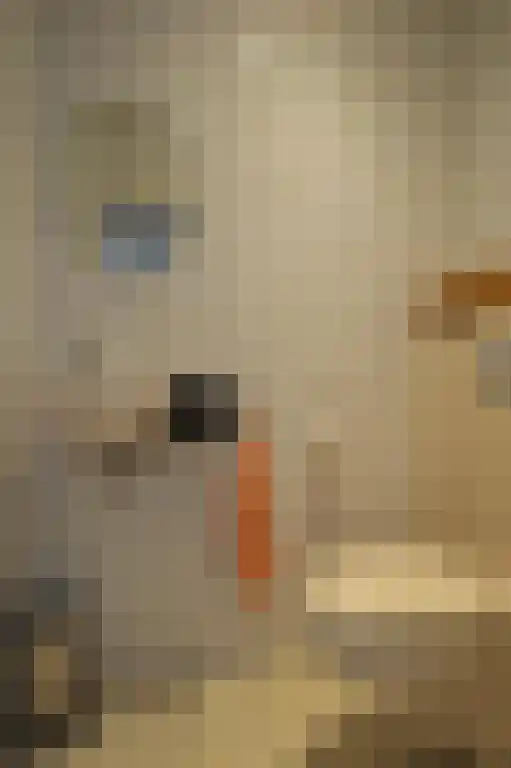 Reeksenakker 4 Deurne thumbnail 19