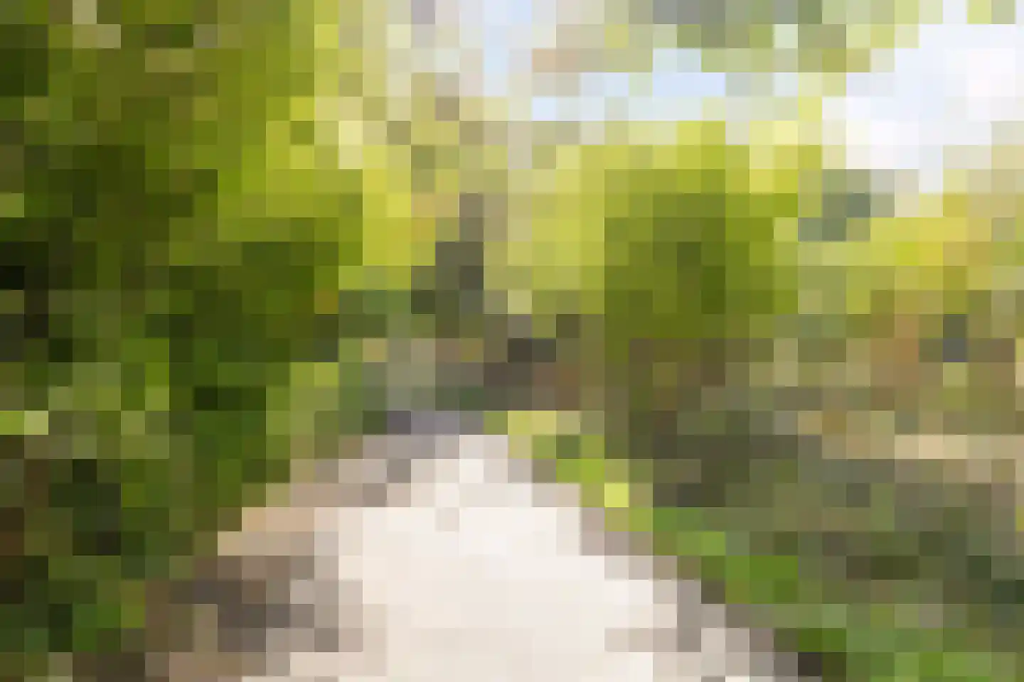 Reelaan 17 Winschoten thumbnail 37
