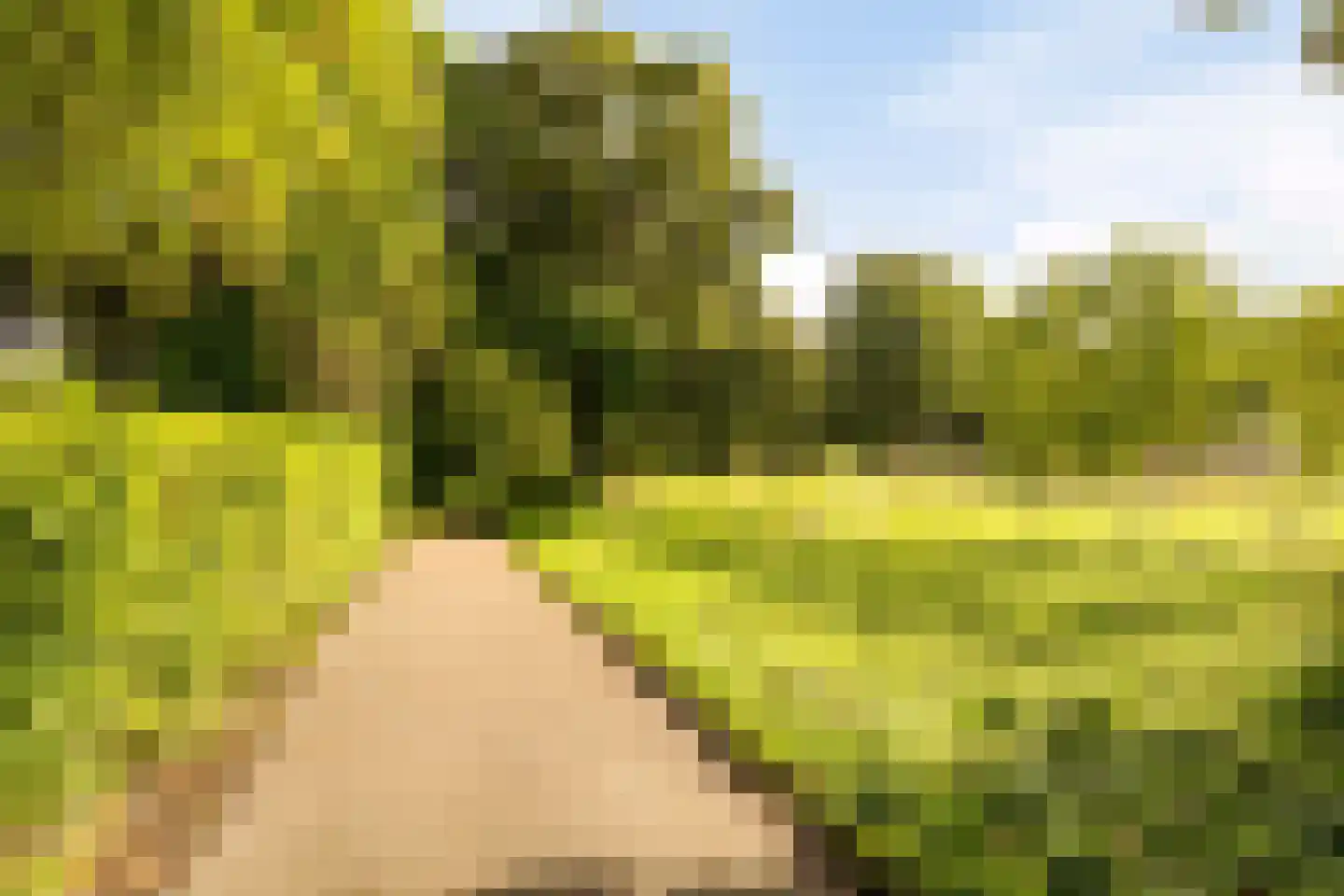 Reelaan 17 Winschoten thumbnail 38