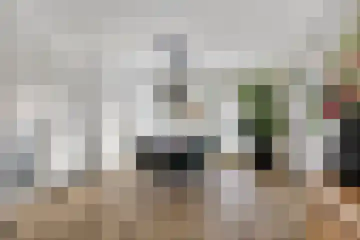 Reelaan 20 Winschoten thumbnail 12