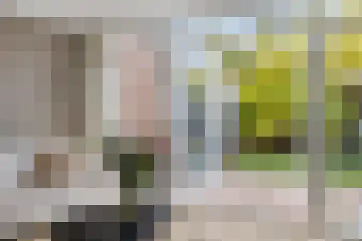 Reelaan 20 Winschoten thumbnail 19