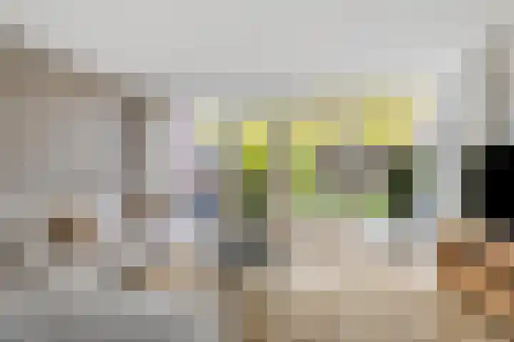 Reelaan 20 Winschoten thumbnail 4