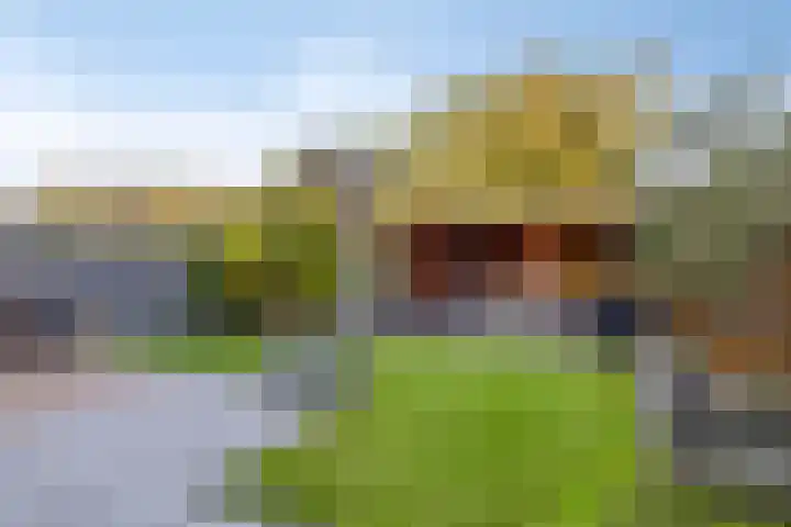 Reelaan 20 Winschoten thumbnail 45