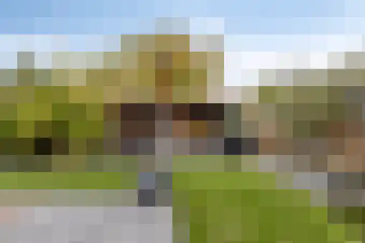 Reelaan 20 Winschoten thumbnail 46