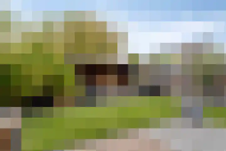 Reelaan 20 Winschoten thumbnail 47