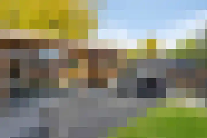 Reelaan 20 Winschoten thumbnail 50