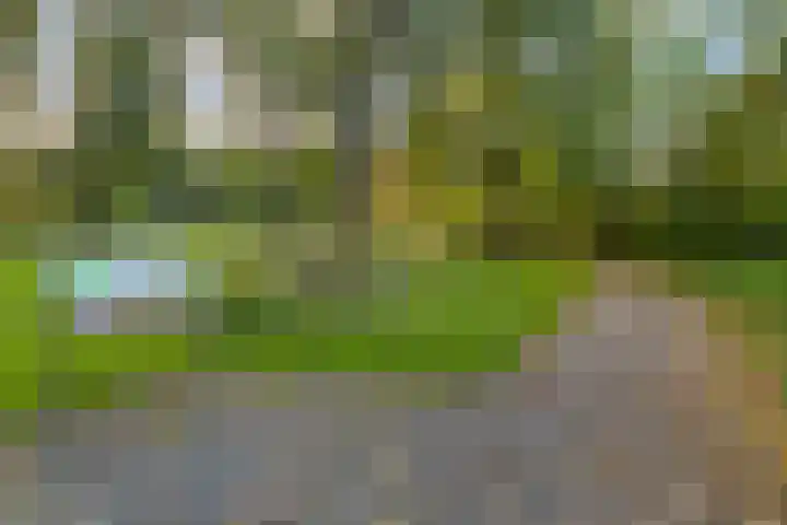 Reelaan 20 Winschoten thumbnail 56
