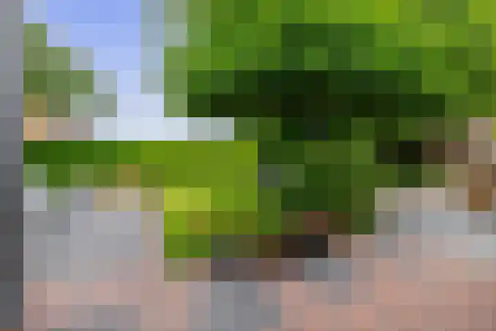 Reelaan 30 Winschoten thumbnail 31