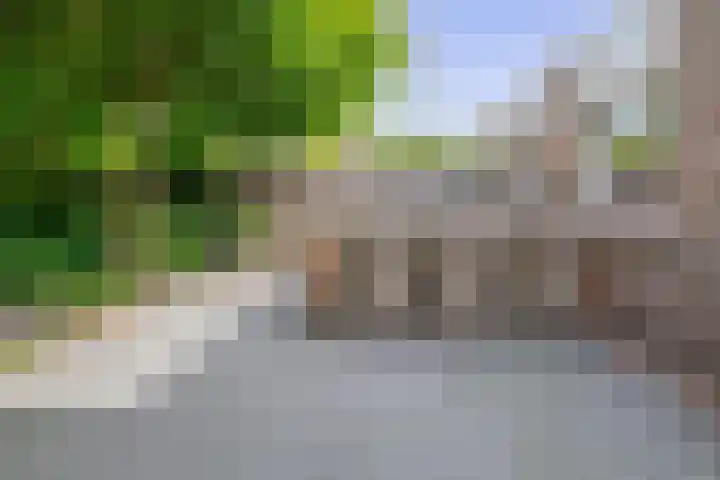 Reelaan 30 Winschoten thumbnail 32