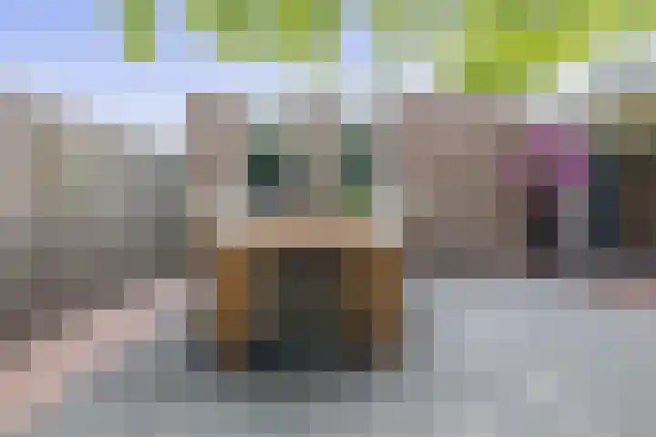 Reelaan 30 Winschoten thumbnail 33