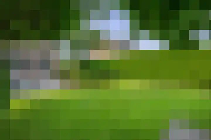 Reelaan 30 Winschoten thumbnail 34