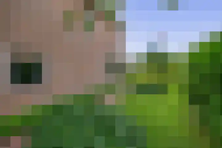 Reelaan 30 Winschoten thumbnail 35