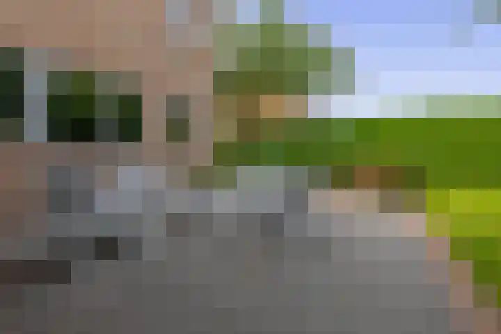 Reelaan 30 Winschoten thumbnail 36