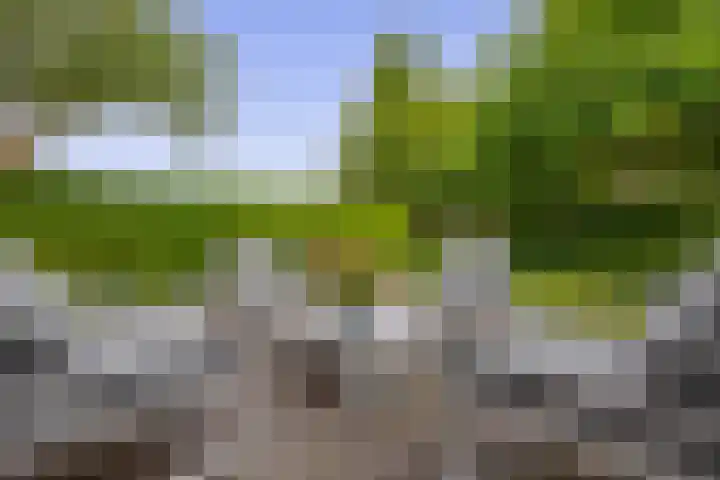 Reelaan 30 Winschoten thumbnail 37
