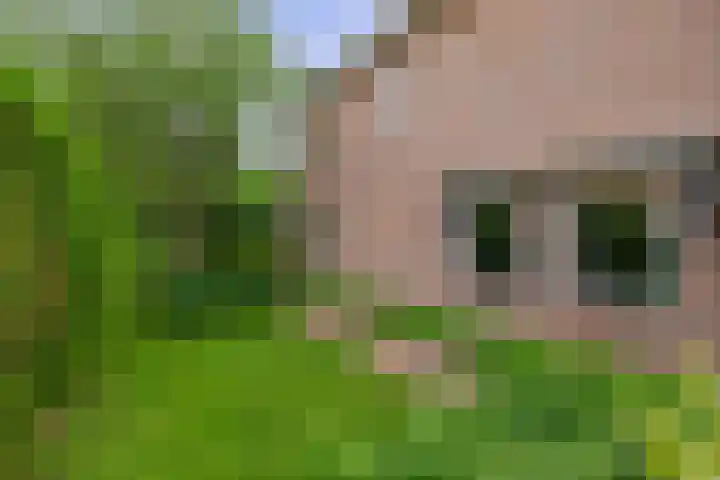 Reelaan 30 Winschoten thumbnail 38