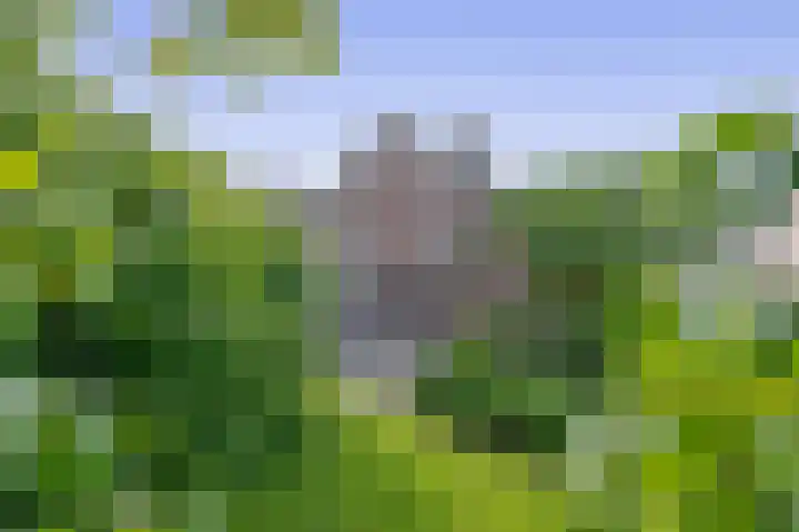 Reelaan 30 Winschoten thumbnail 39