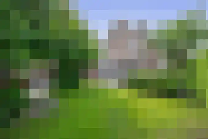 Reelaan 30 Winschoten thumbnail 4
