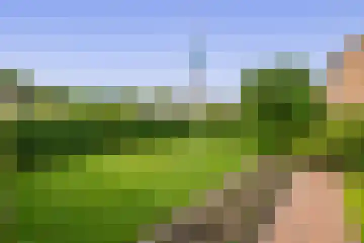 Reelaan 30 Winschoten thumbnail 43