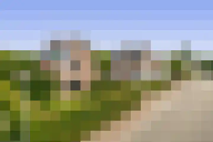 Reelaan 30 Winschoten thumbnail 50