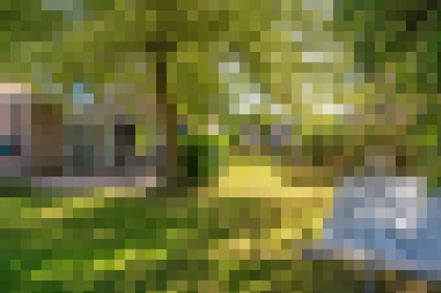 Reelaan 34 Winschoten thumbnail 67