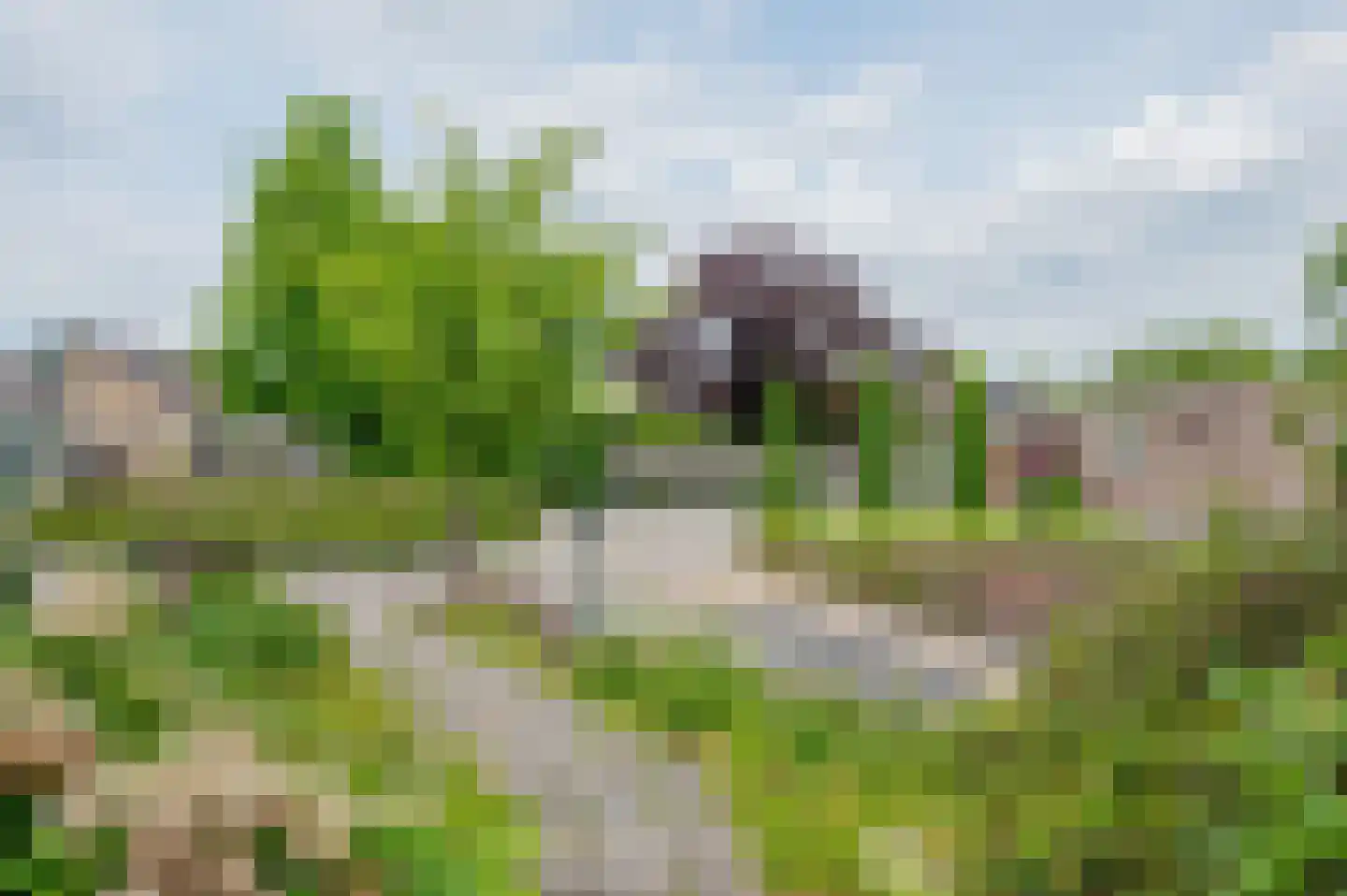 Reelaan 43 Winschoten thumbnail 10