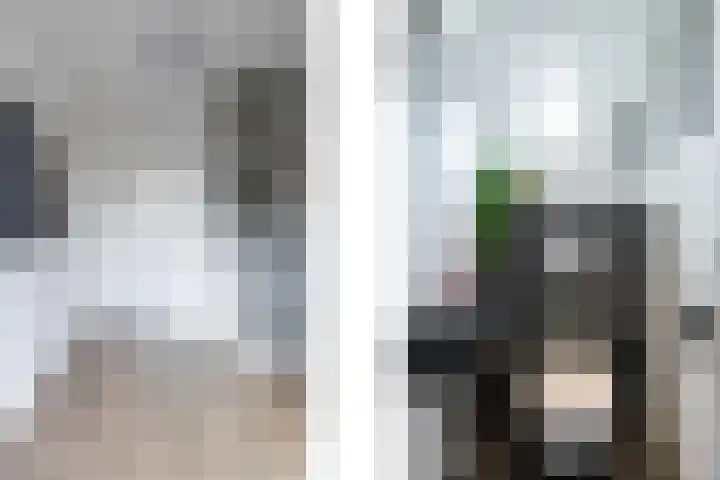 Reelaan 5 Waalre thumbnail 12