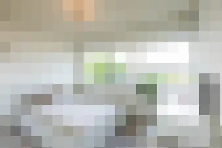 Reelaan 5 Waalre thumbnail 15